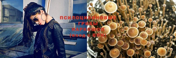 ешки Алзамай