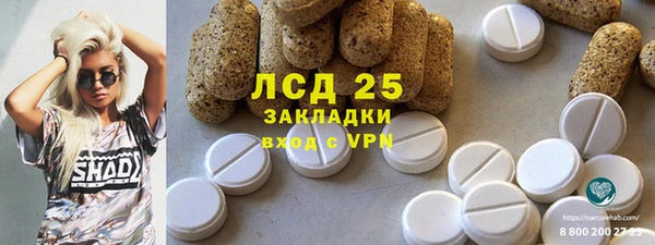 ПСИЛОЦИБИНОВЫЕ ГРИБЫ Алексин
