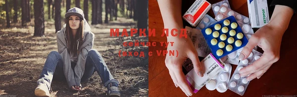 ПСИЛОЦИБИНОВЫЕ ГРИБЫ Алексин
