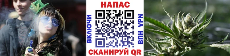 Канабис MAZAR Судогда